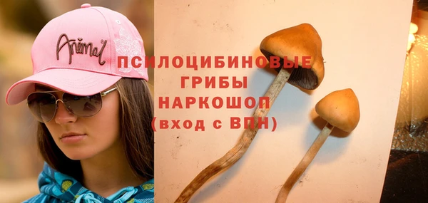 ешки Алексеевка