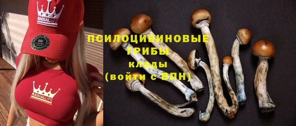круглые Алексин
